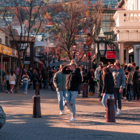 2025 11 14 nz herald v2