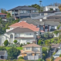 2026 01 23 nz herald website