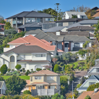 2026 02 27 herald website