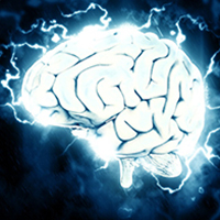Brain