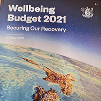 Budget 2021 v2