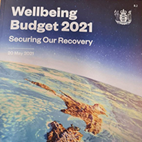 Budget 2021 v4