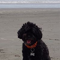 Humphrey beach