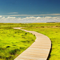 Pathway