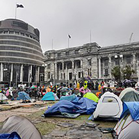 Protest wellington parliament