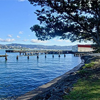 Shelley Bay Wellington