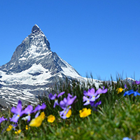 Swiss