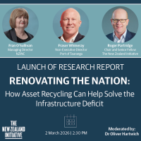 Thumbnail Renovating the Natin