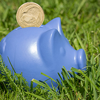 blue piggy on the grass 3
