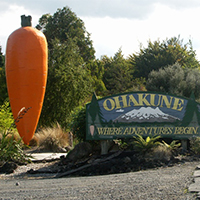 carrot Ohakune