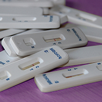 rapid antigen tests v3