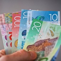 website nz pay