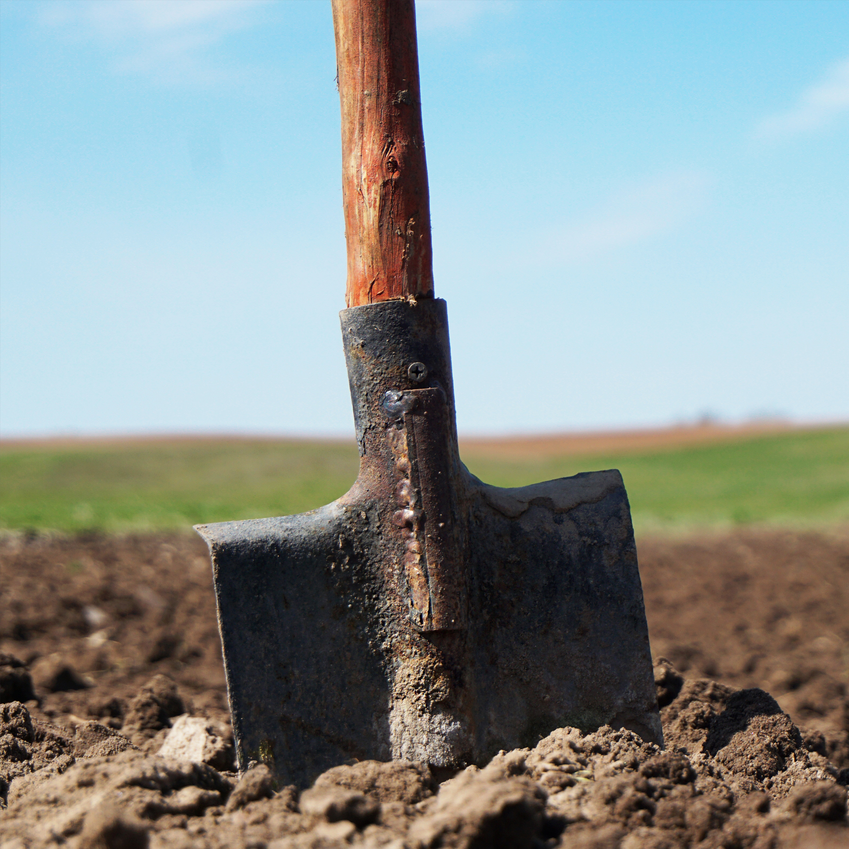 A shovel-ready autopsy | The New Zealand Initiative