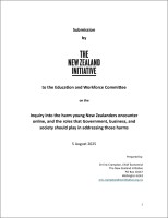 2025 08 07 Social media submission