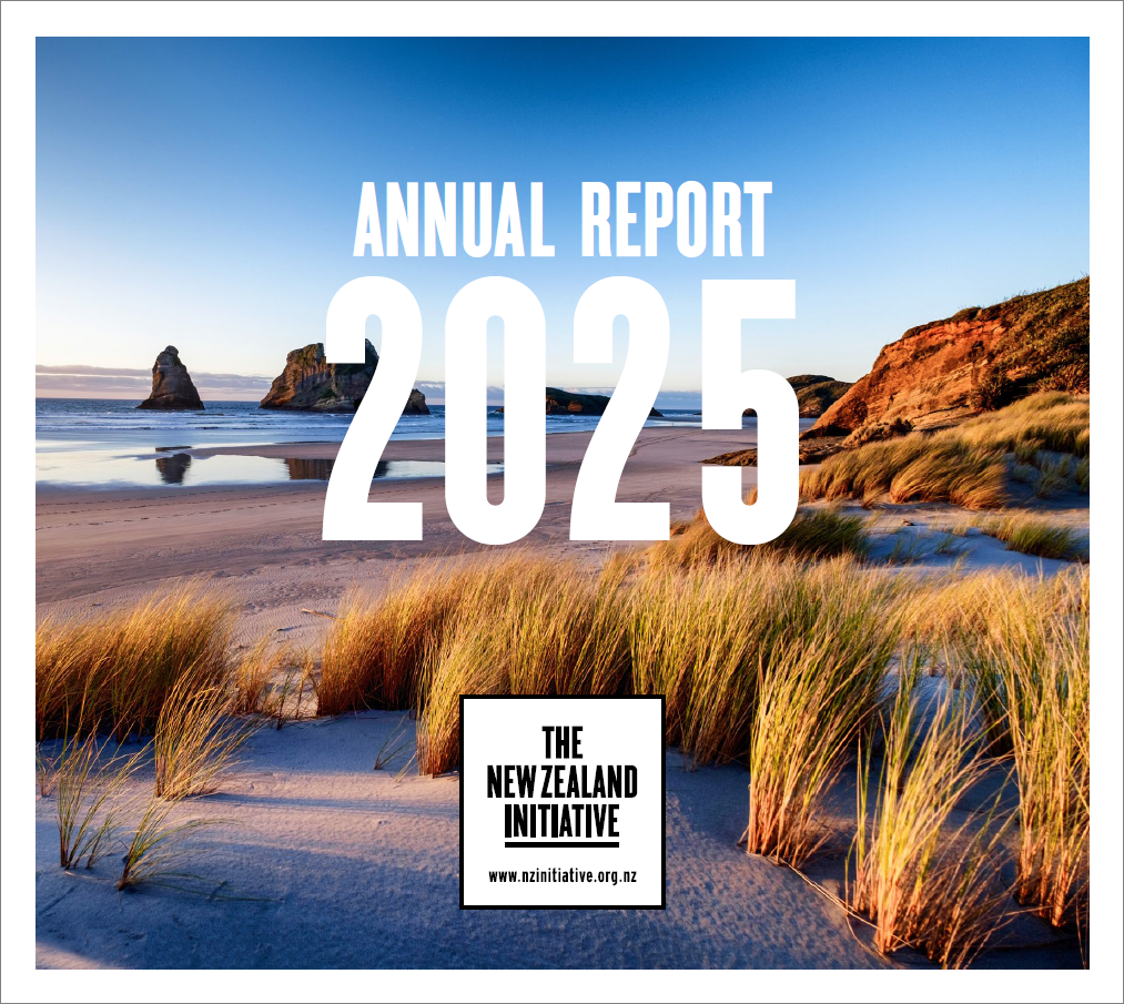 annual report 2025 outline