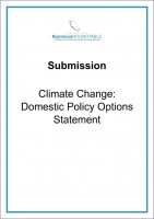 Submission Climate Change Domestic Policy Options Statement