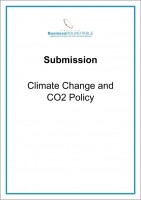 Submission Climate Change and CO2 Policy