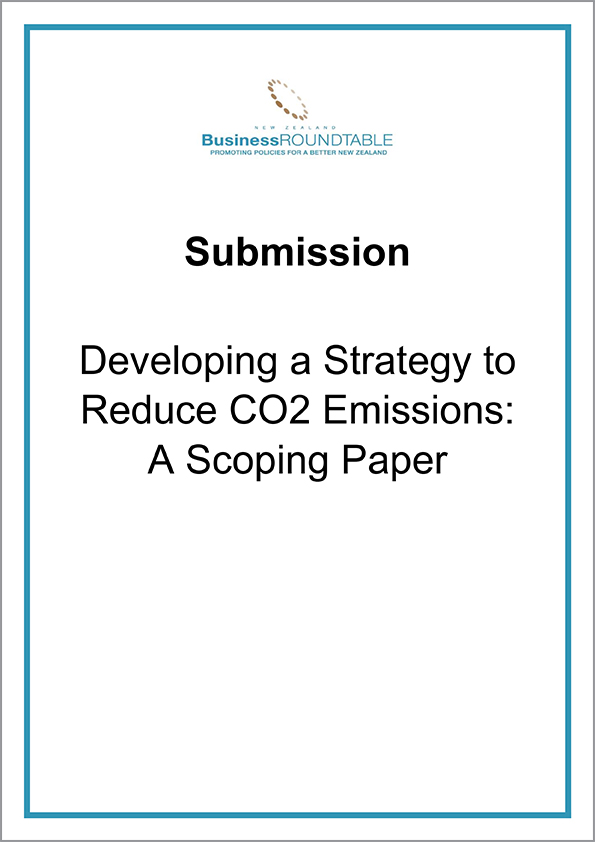 Submission Developing a Strategy to Reduce CO2 Emisisons A Scoping Paper