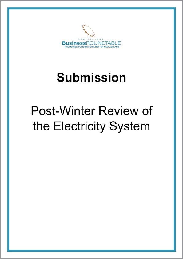 Submission Post Winter Review of Electricity System