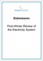 Submission Post Winter Review of Electricity System