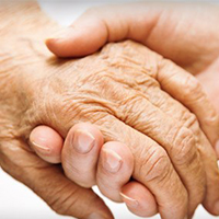 Hands