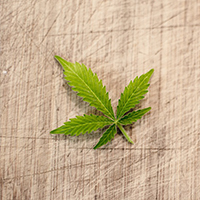 Marijuana