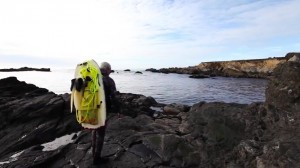 abalone management